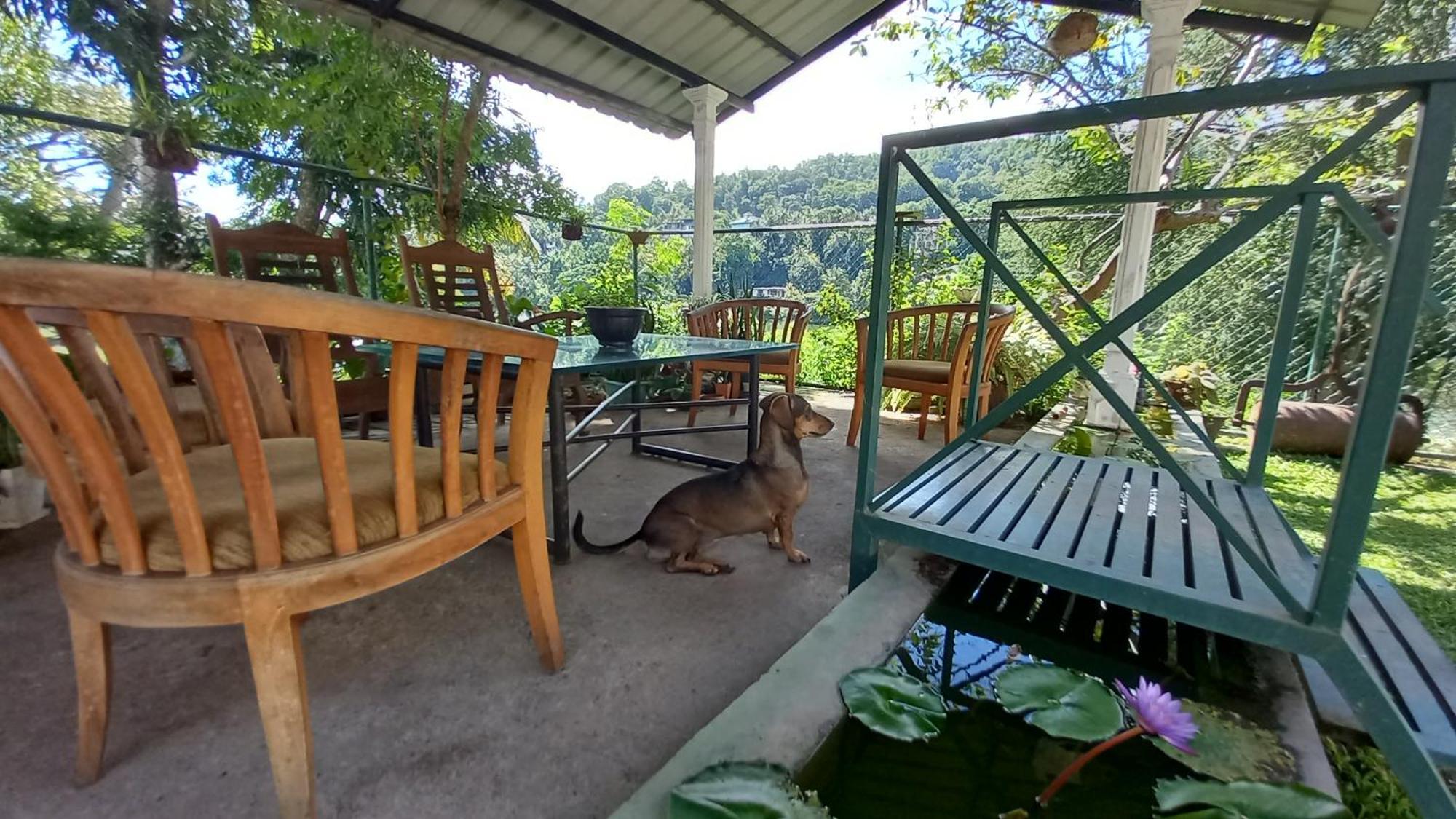 Mahaweli Shades Hotel Канди Екстериор снимка